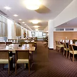 Grauer Baer 4*