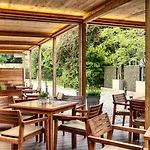 Hotel Grauer Baer 4*