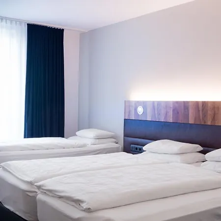 Grauer Baer 4*