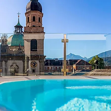 Grauer Baer Innsbruck