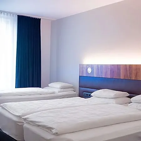 Grauer Baer Innsbruck