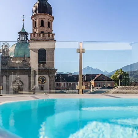 Grauer Bär Innsbruck