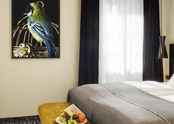 Grauer Baer Готель Інсбрук